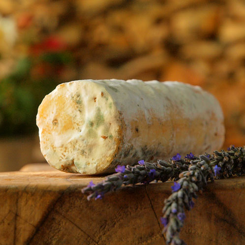 Goats with the Wind | Galilee, Israel | Pasta Isabella | Organic Goat Cheese. Photography by Tal Gluck.